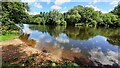 SK5335 : View across River Trent from its southwest bank, northwest of Clifton by Luke Shaw