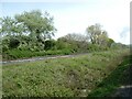 SN5981 : Railway track adjacent to Vale of Rheidol Railway, Aberystwyth by David Smith