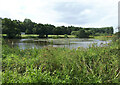 ST7541 : View over the lake, with caravan and motorhome site in the background by Vieve Forward