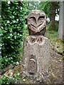 SJ7540 : A wise old owl by Oliver Dixon