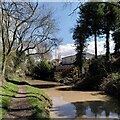 SP3988 : Ashby-de-la-Zouch Canal near Bulkington by A J Paxton