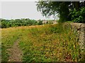 SE1425 : Footpath to the A58 off Lower Wyke Green by Humphrey Bolton