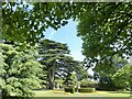 ST2885 : Cedar Garden, Tredegar House by Robin Drayton