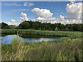 TA0835 : Pond at Kingswood, Hull by Paul Harrop