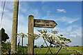 NY9467 : Public footpath sign to Hangman's Hill by Jeff Buck