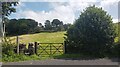  : Footpath towards Bryan Houses Plantation by Anthony Parkes