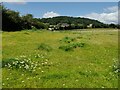 SO7976 : Grassland north of Catchems End by Mat Fascione