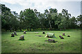 SK2463 : Nine Ladies Stone Circle, Stanton Moor by Brian Deegan