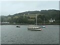 SX4364 : Yachts moored near Cleave Farm by Christine Johnstone