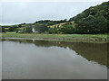 SX4267 : Marshy riverbank near South Ward Farm by Christine Johnstone