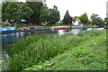 SP0951 : The River Avon at Bidford-on-Avon by Philip Halling