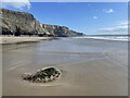 SM8516 : The southern part of Druidston Haven at low tide by Simon Mortimer