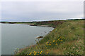 NO6743 : Clifftop vegetation near the seaward entrance to the Gaylet Pot, Angus by Andrew Diack