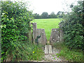 SX9888 : Stone Stile, Clyst St George by Mr Red