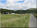 SH6214 : Mawddach Trail near Barmouth by Malc McDonald