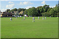 TL4578 : Cricket at Sutton by John Sutton