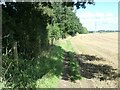 SE3739 : Railway boundary fence, south of Thorner by Christine Johnstone