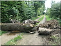 SE3940 : Barrier on Mangrill Lane, near Nova Scotia by Christine Johnstone