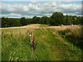 SE1322 : Brighouse Footpath 85/2 descending to Lillands Lane, Rastrick by Humphrey Bolton