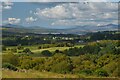 NC5904 : Pastures at Torroboll, Lairg, Sutherland by Andrew Tryon