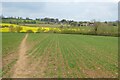 SP0924 : Farmland at Guiting Power by Philip Halling