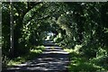 SH4740 : Country lane on the Lleyn Peninsula by Bill Harrison