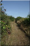  : Signs of Autumn on Footpath 7 by Glyn Baker