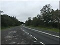  : A171 through Harwood Dale Forest by Steven Brown