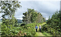 NZ0935 : Walkers on the way to Knitsley Fell by Trevor Littlewood