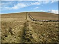 NY2827 : Path to Lonscale Fell by Adrian Taylor