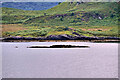 NM8331 : Small rocky islet near Port a' Bhearnaig, Kerrera by David Dixon