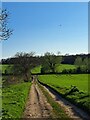 TM3864 : Path towards Carlton church by Christopher Hilton