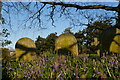 TM3863 : Bluebells in Carlton churchyard by Christopher Hilton