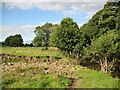 NY3745 : The Cumbria Way near Rose Bridge by Adrian Taylor