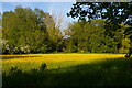 TM3861 : Watermeadows along the River Fromus, Benhall Green by Christopher Hilton