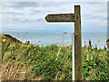 TA2372 : Headland Way, Public Footpath to Thornwick Bay by David Dixon