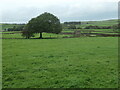 SE0650 : Ruined field barn, north of Cross Bank by Christine Johnstone