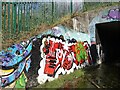 SE3118 : Horbury Underpass of Graffiti by Phillip De-Vere