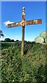 NY3252 : Cumberland County Council finger signpost on north side of road north of Orton Rigg by Roger Templeman