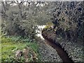 SK4838 : Boundary Brook flowing into the River Erewash by Ian Calderwood