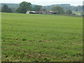 NY5633 : Ruined barns, north of Edenhall by Christine Johnstone