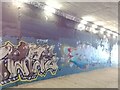 SE3118 : Horbury Underpass of Graffiti by Phillip De-Vere