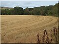 NT4932 : Stubble field at Tweed Bridge by M J Richardson