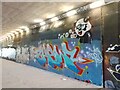 SE3118 : Horbury Underpass of Graffiti by Phillip De-Vere