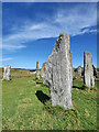 NB2133 : The Calanais Stones by David Dixon