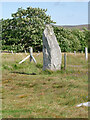 NB2133 : Standing Stone at Callanish by David Dixon