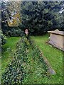 ST5899 : Overgrown churchyard path, Woolaston, Gloucestershire by Jaggery