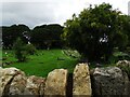 NZ3453 : Path through the graveyard by Robert Graham