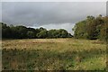 TL5926 : Rough Pasture Sandwiched between Eseley and Home Woods by Chris Heaton