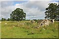 NZ0471 : East Matfen medieval village and open field system (site of) by Jeff Buck